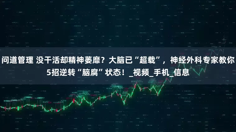 问道管理 没干活却精神萎靡？大脑已“超载”，神经外科专家教你5招逆转“脑腐”状态！_视频_手机_信息