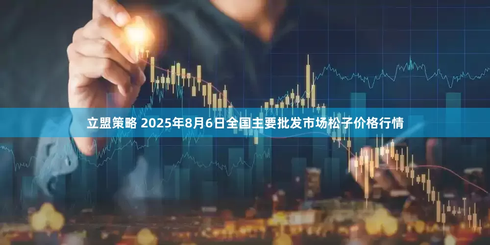 立盟策略 2025年8月6日全国主要批发市场松子价格行情