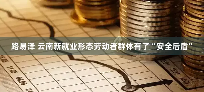 路易泽 云南新就业形态劳动者群体有了“安全后盾”