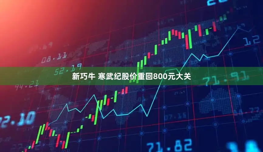 新巧牛 寒武纪股价重回800元大关