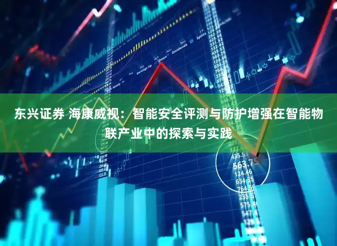 东兴证券 海康威视：智能安全评测与防护增强在智能物联产业中的探索与实践