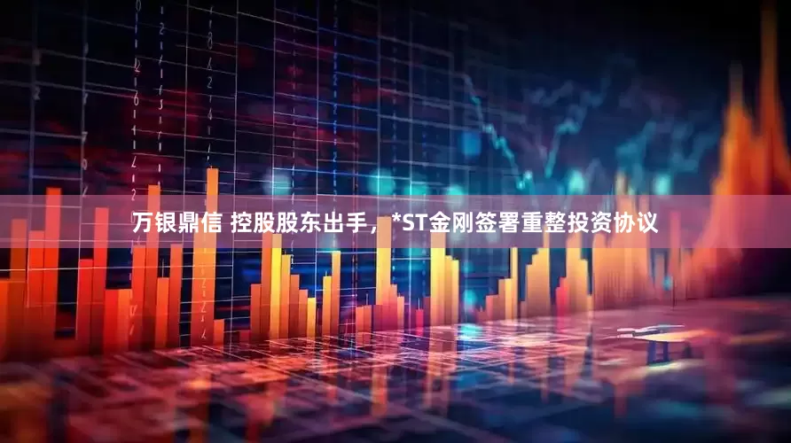 万银鼎信 控股股东出手，*ST金刚签署重整投资协议