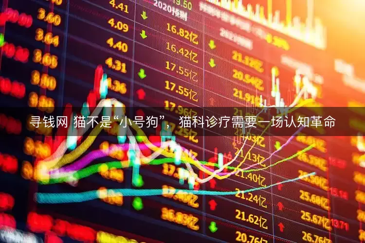 寻钱网 猫不是“小号狗”，猫科诊疗需要一场认知革命